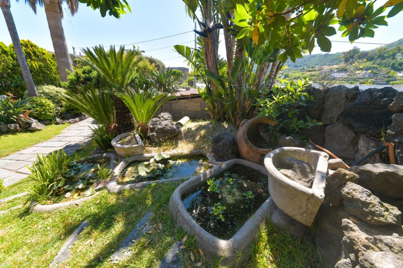 Villa Stefania Barano d'Ischia Bagian luar foto
