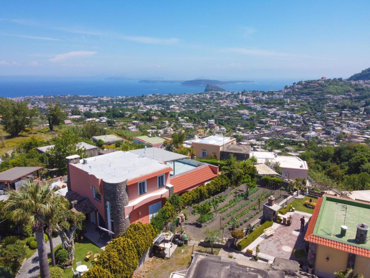Villa Stefania Barano d'Ischia Bagian luar foto
